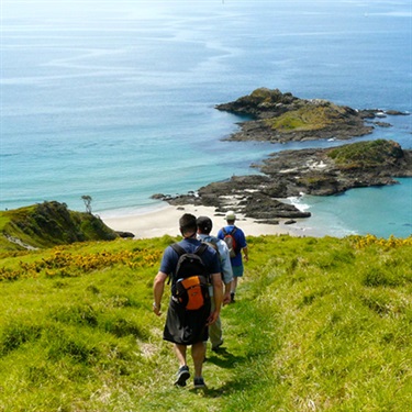 Te Whara Track to Ocean Beach