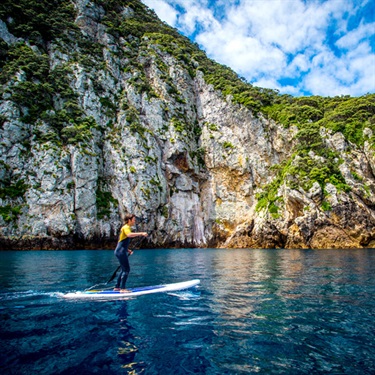 Poor Knights Islands paddle boarding
