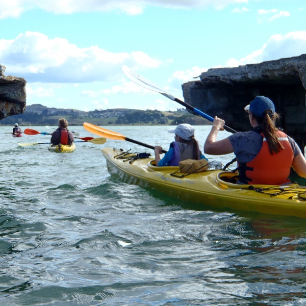 Kayaking-Matakohe-Limestone-Island.jpg