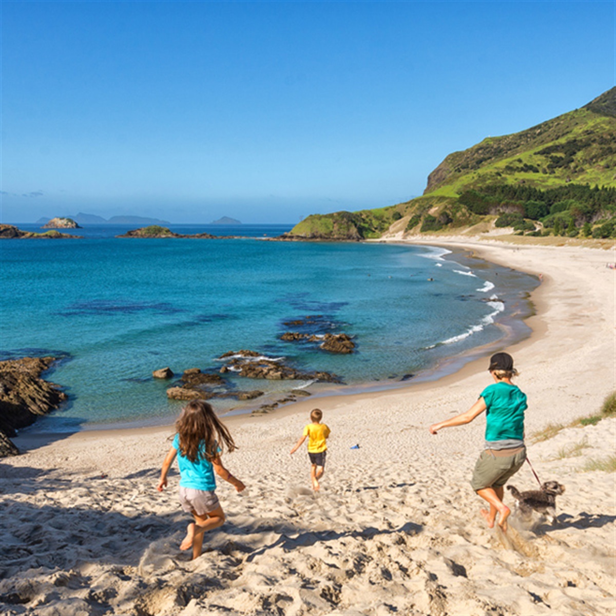 Ocean Beach, Whangārei Heads