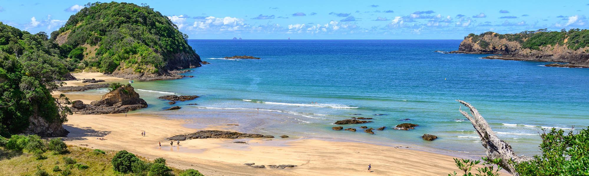 Discover-and-Explore-Content-header.-Beaches.-Matapouri-Cove.jpg