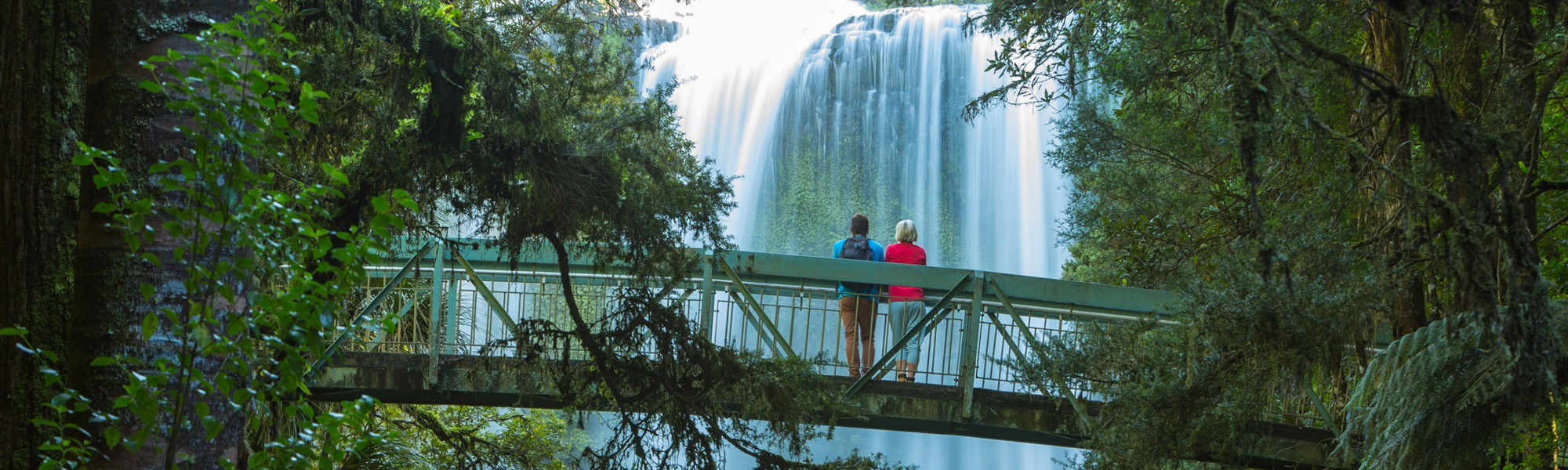 Photo of two people standing on a bridge at the bottom of the Otuihau Whangarei Falls, with trees and the waterfall in the background. 