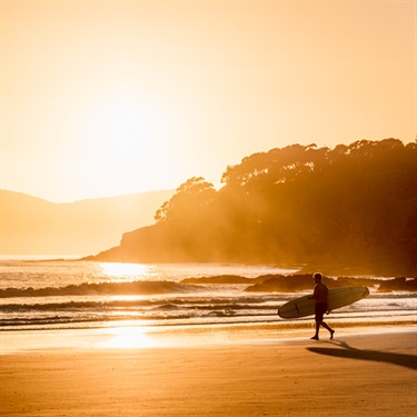 Waipu Cove surf