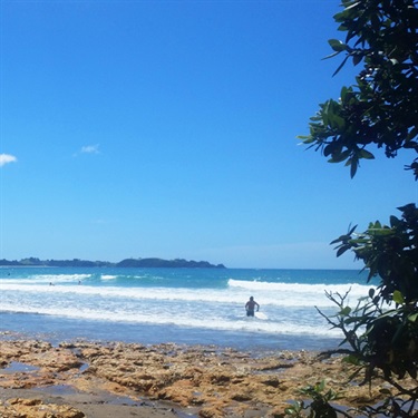 Surf Sandy Bay