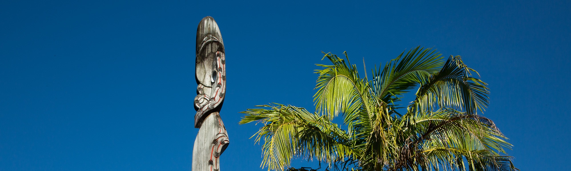 Discover-and-Explore-Content-page.-Cultural-attractions-header.-Library-pou.jpg