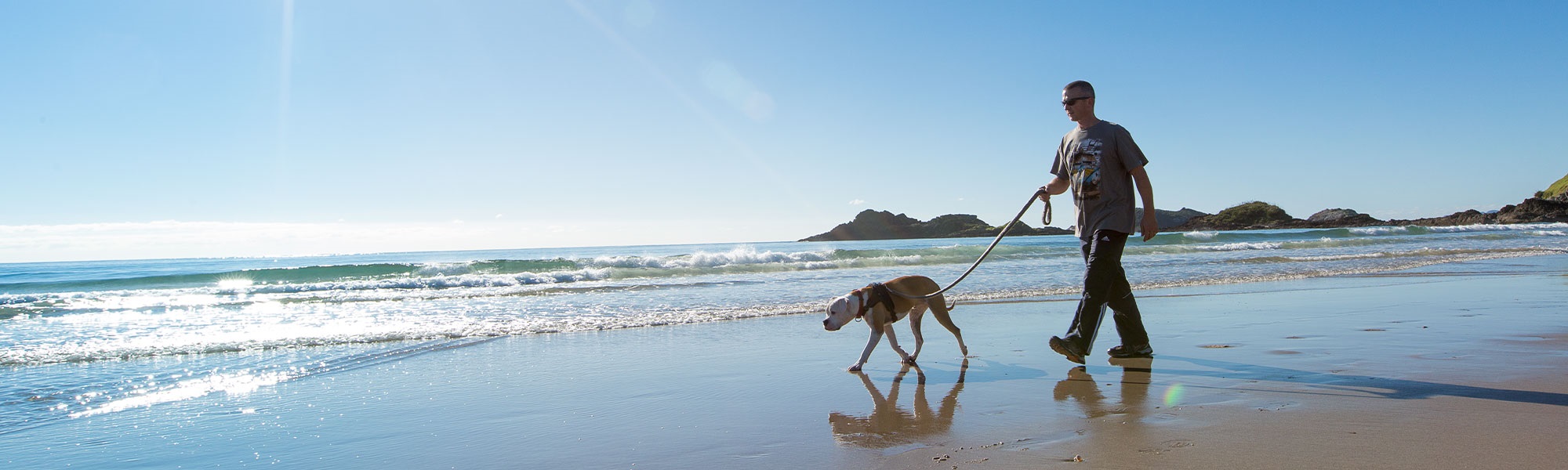 A man walks his dog on-leash at Ocean Beach on a sunny day