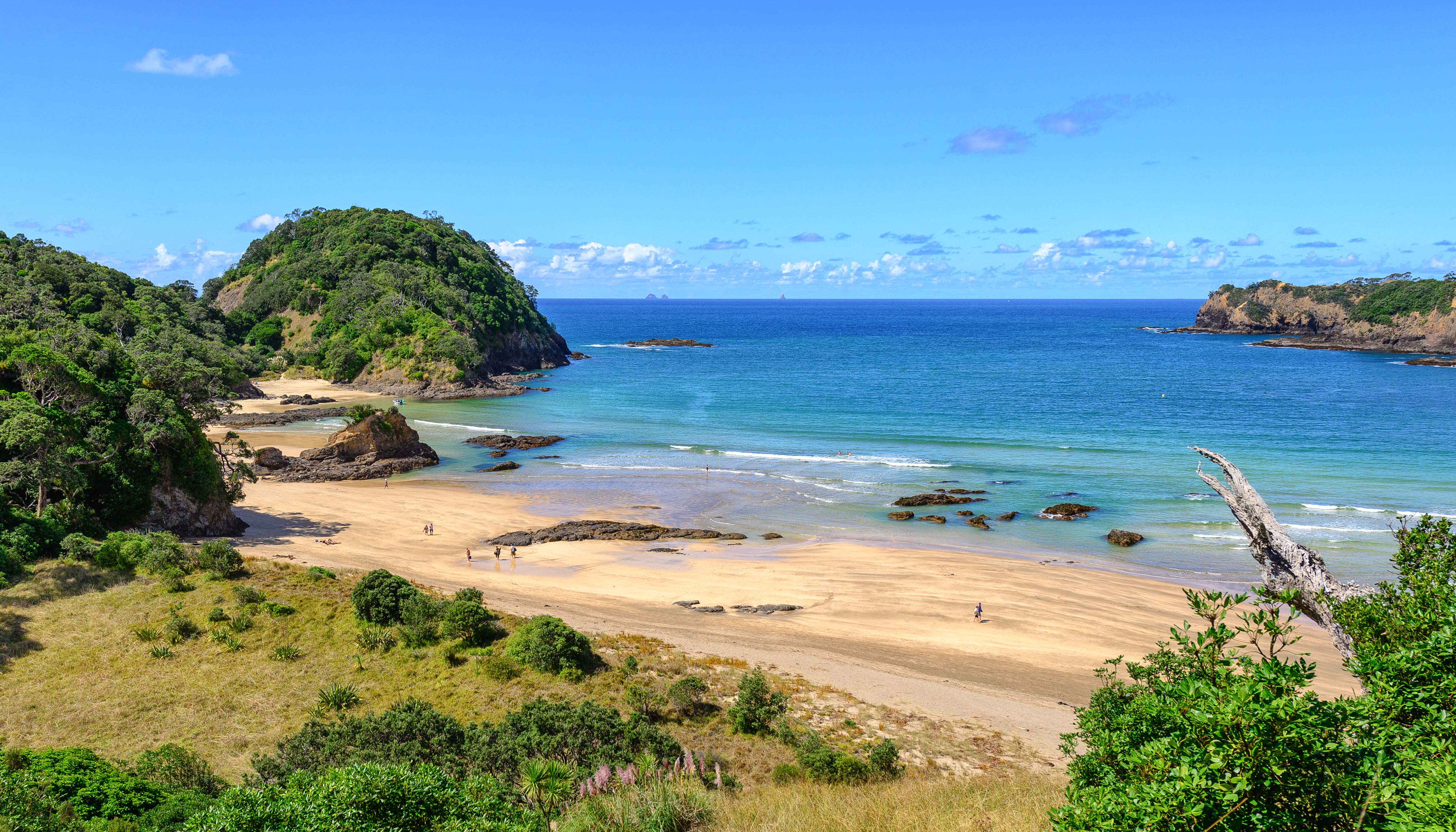 Matapouri-Tutukaka-Coast.jpg