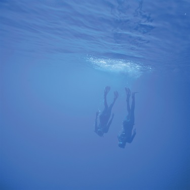 Poor Knights Islands Freediving