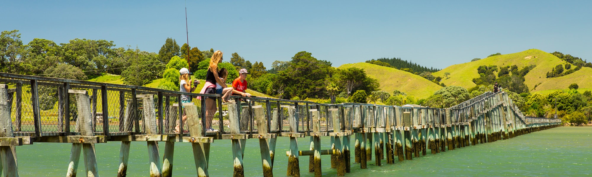 Whananaki-pedestrian-bridge-landscape.jpg