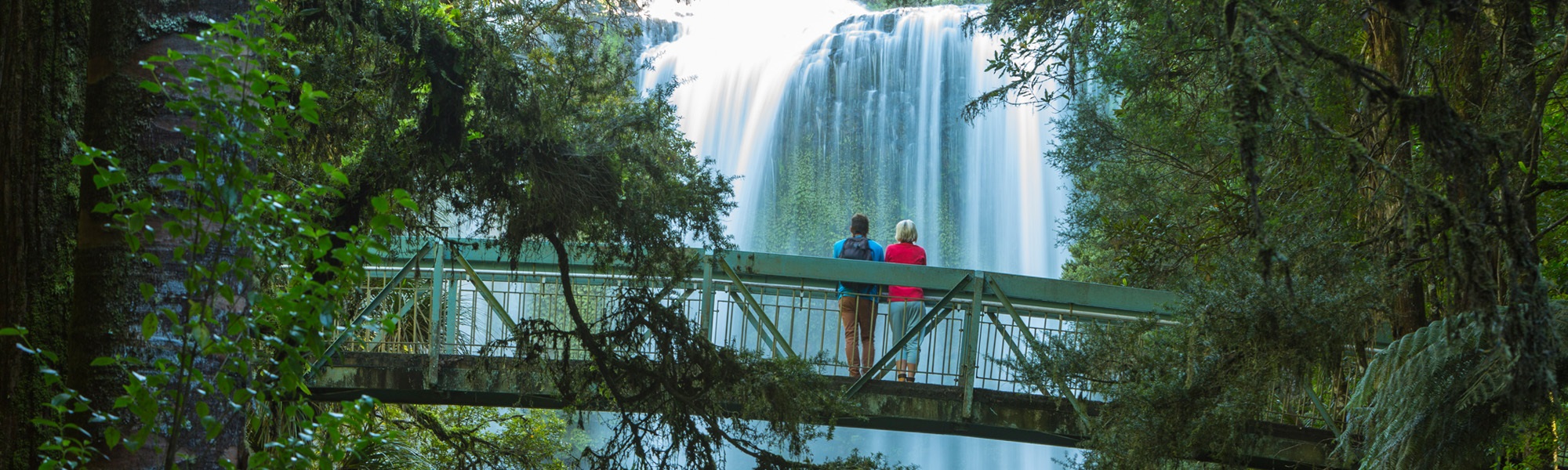 Photo of two people standing on a bridge at the bottom of the Otuihau Whangarei Falls, with trees and the waterfall in the background.